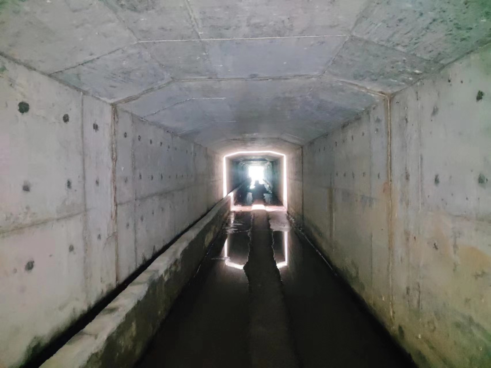 1689241378197070.jpg 1689241378197070.jpg